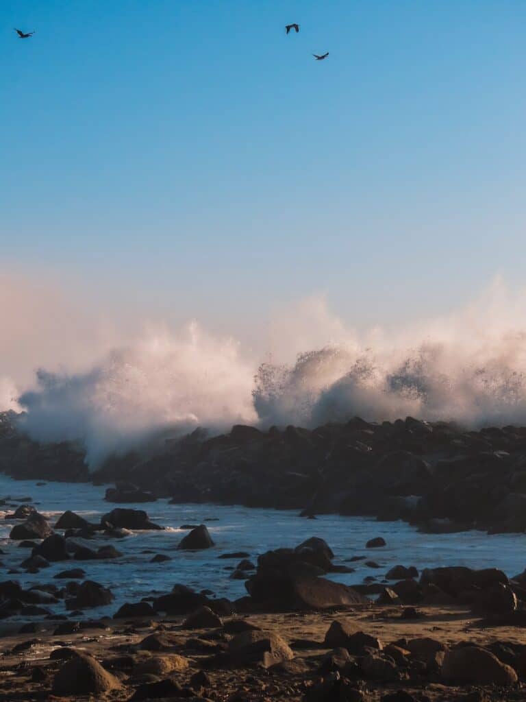 Pacific Coast Highway, Verenigde Staten