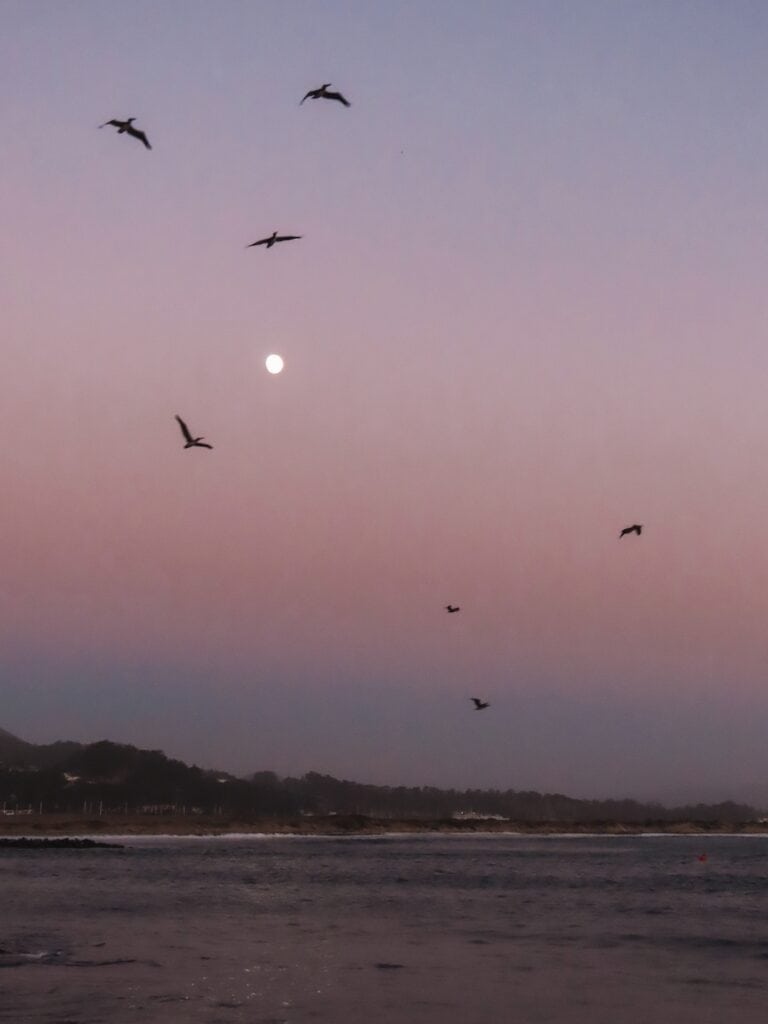 Pacific Coast Highway, Verenigde Staten