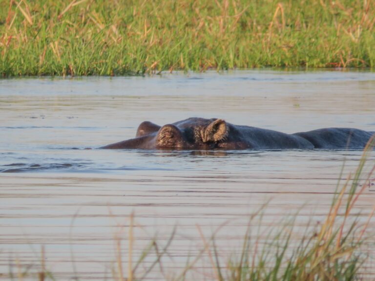 Botswana