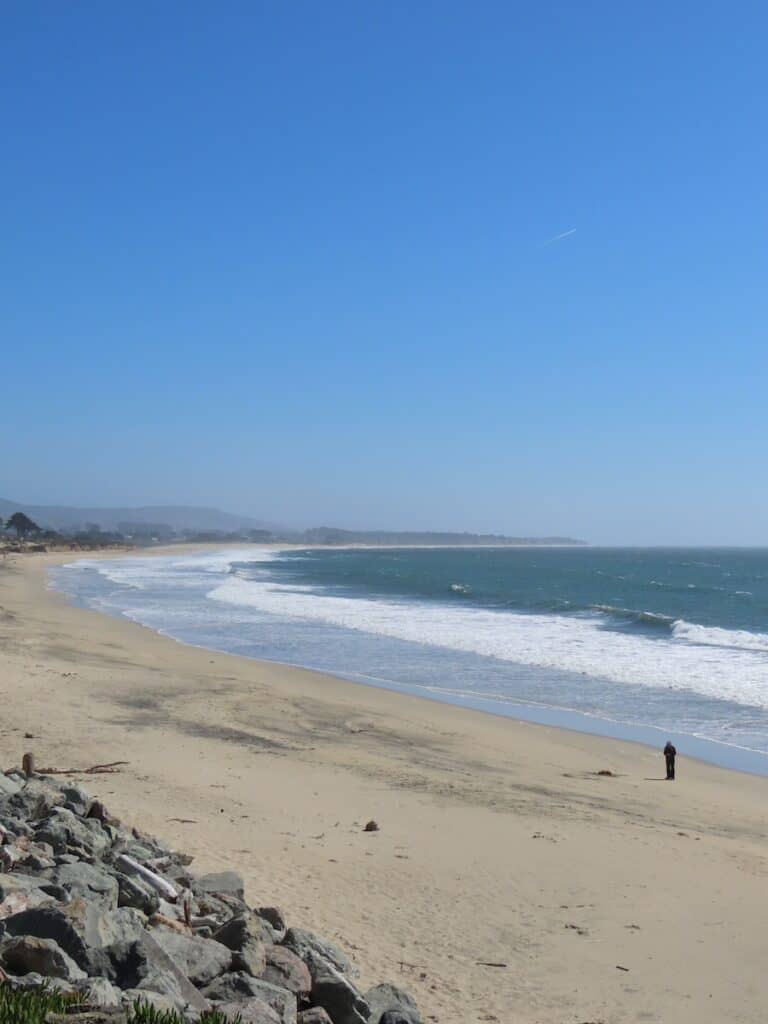 Pacific Coast Highway, Verenigde Staten