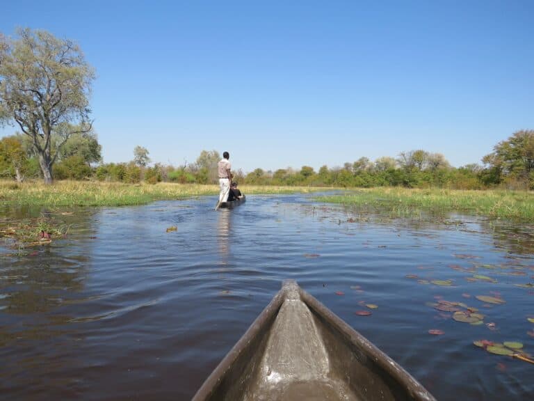 Khwai Community Area, Botswana