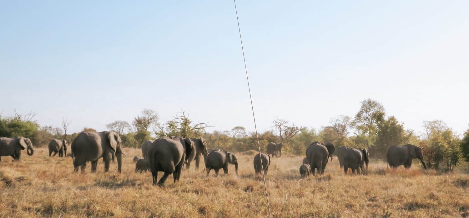 Khwai Community Area, rondreis door Botswana