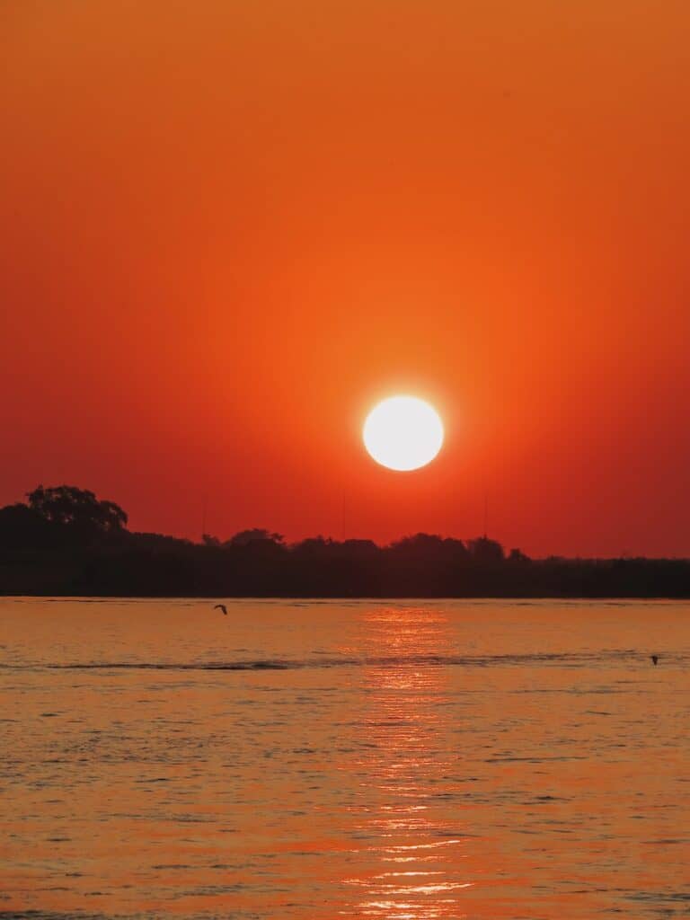 Chobe National Park, Botswana