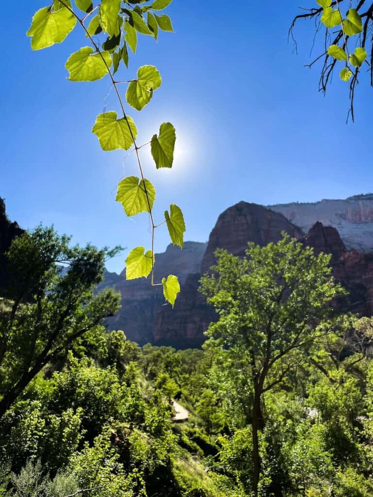 Zion National Park, Verenigde Staten