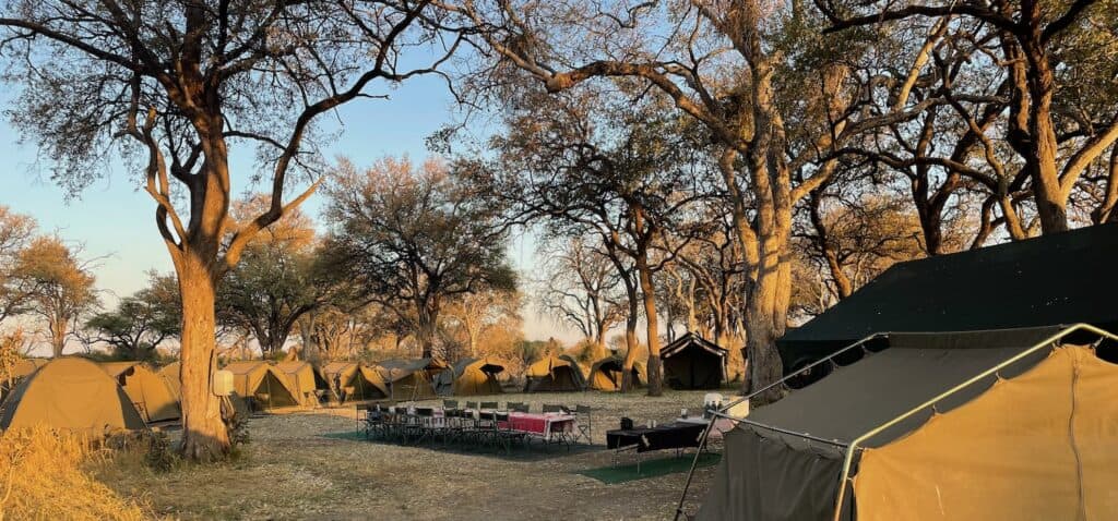 Wat meenemen op safari & praktische tips, Namibië en Botswana