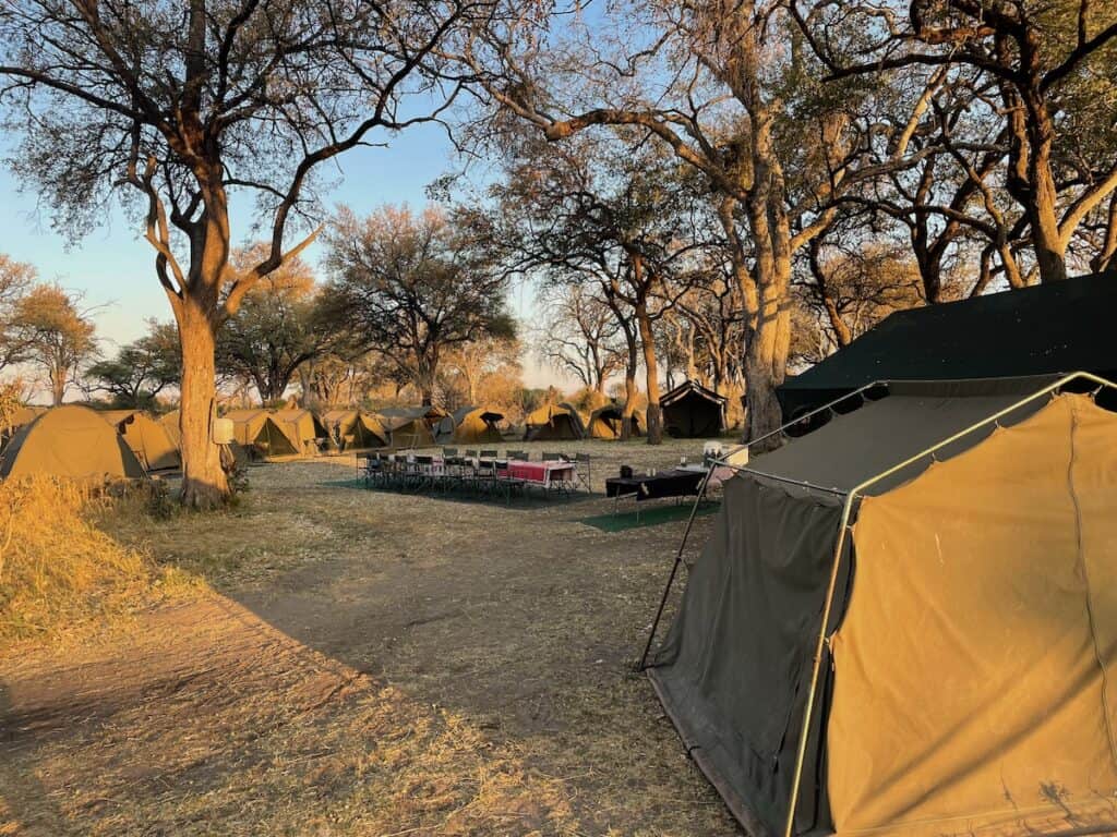 Wildkamperen in Botswana