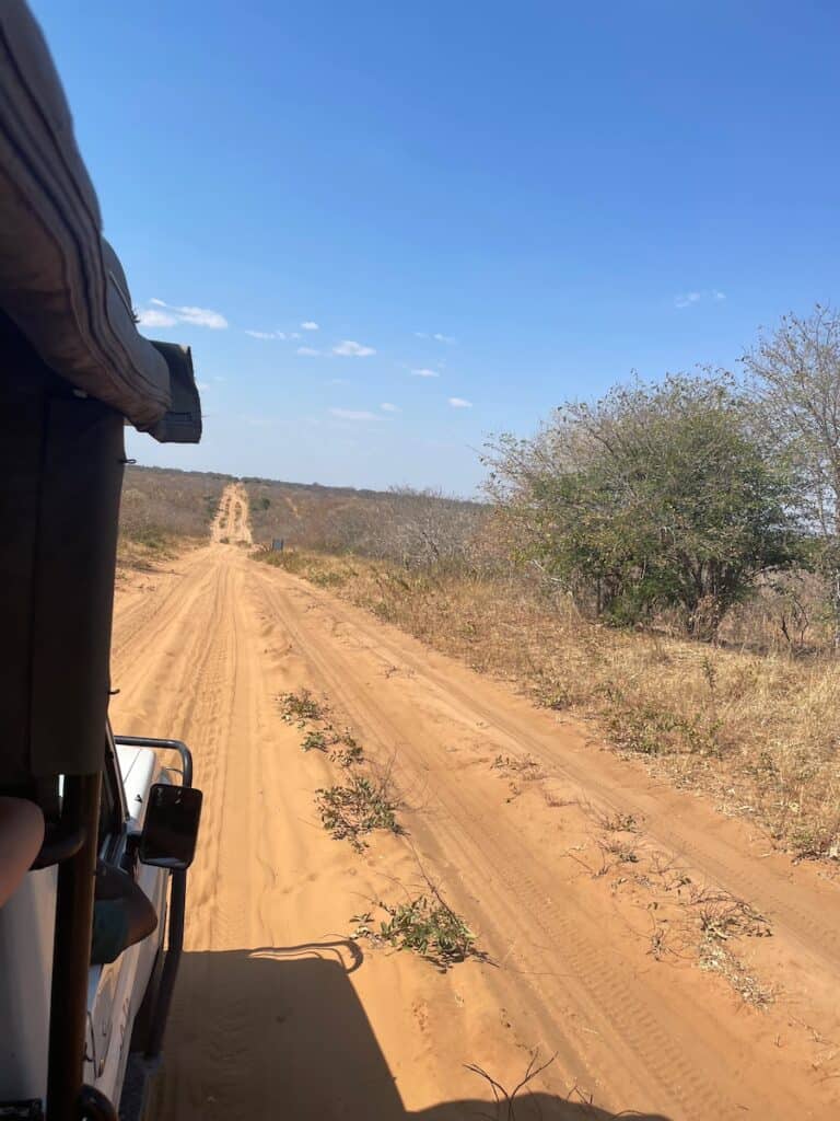 Savuti National Park, Botswana