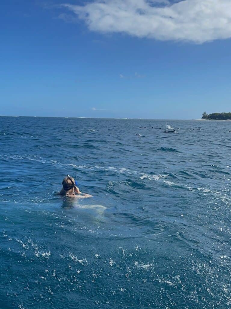 Dolfijnen spotten Mauritius