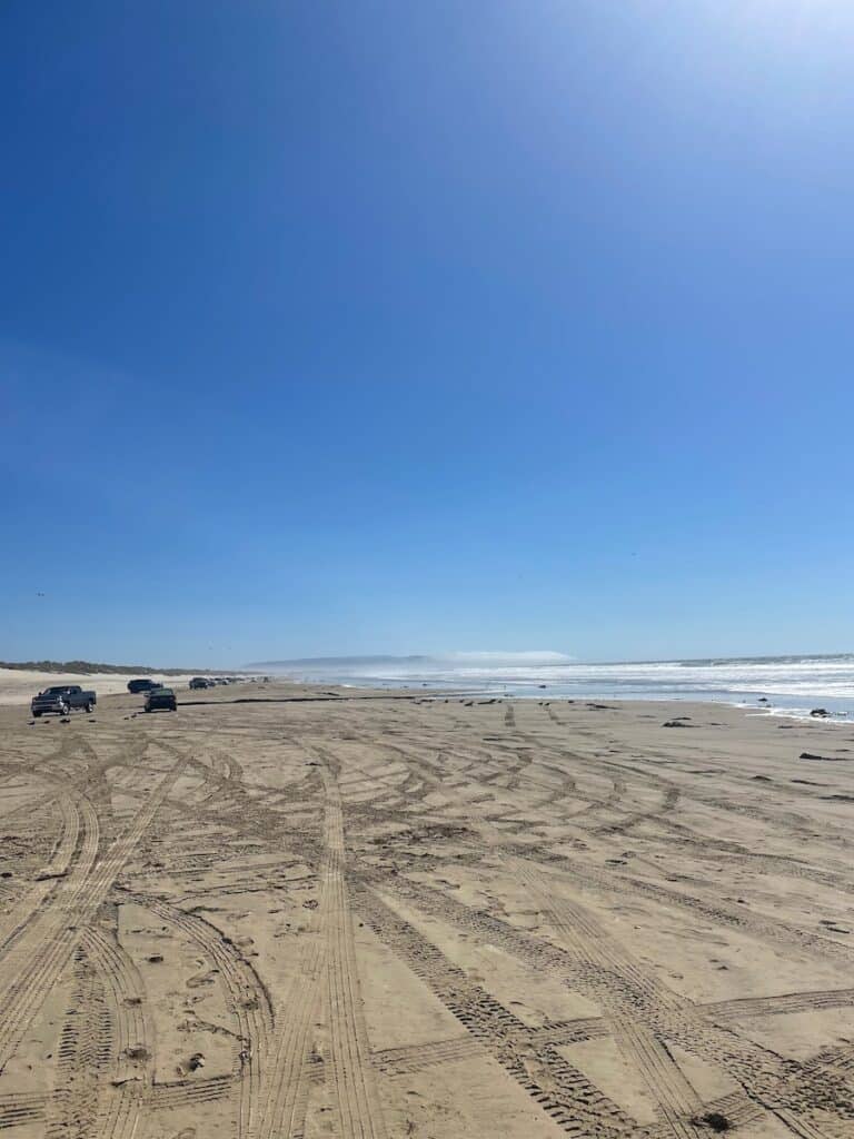 Pacific Coast Highway, Verenigde Staten