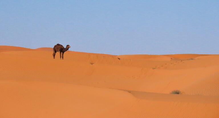 Sahara woestijn, Marokko