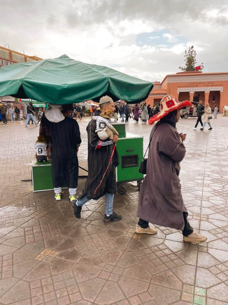 Puur dierenleed op het Djemaa el Fna-plein, Marrakesh, Marokko
