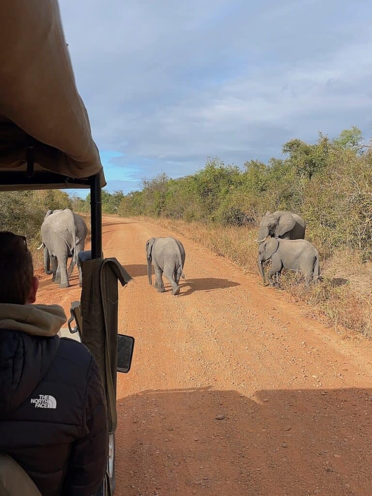 Safari met gids in South Luangwa National Park, Zambia