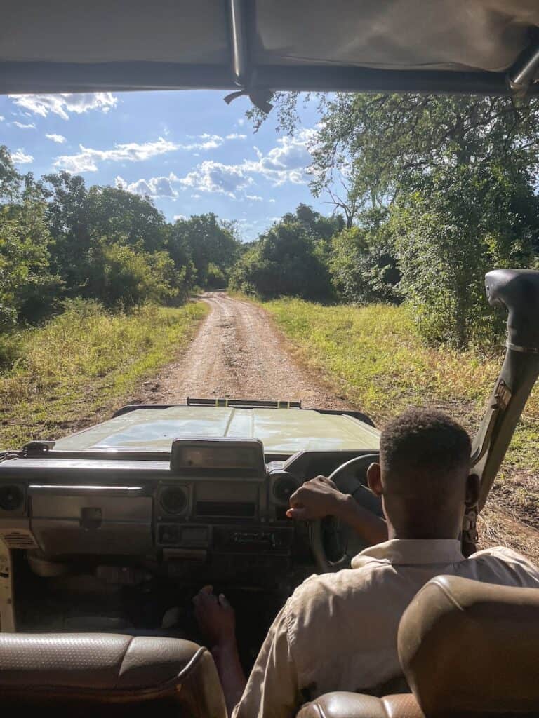 South Luangwa National Park, Zambia