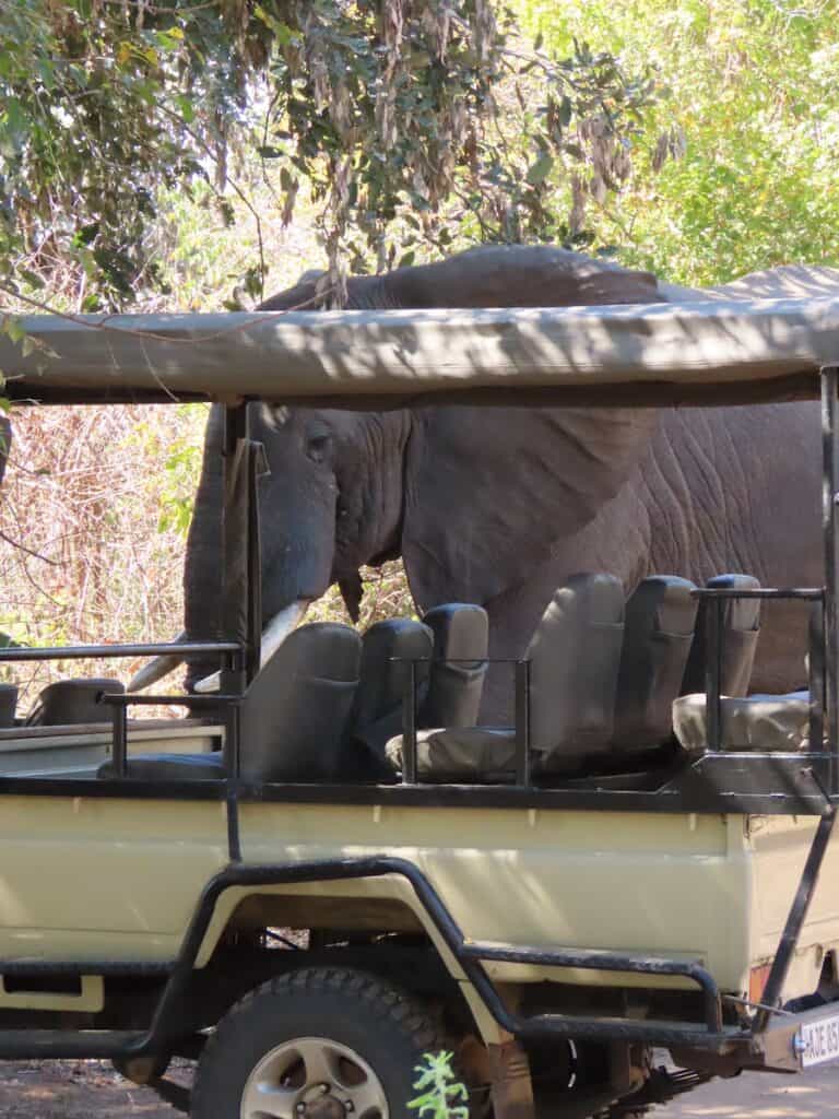 Camp Sabali, Kakumbi, South Luangwa National Park, Zambia